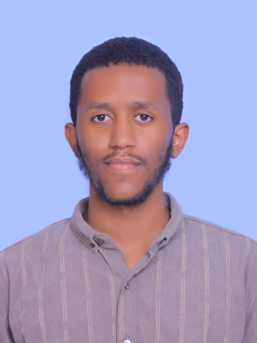 Profile image of Fahmi Dinsefa